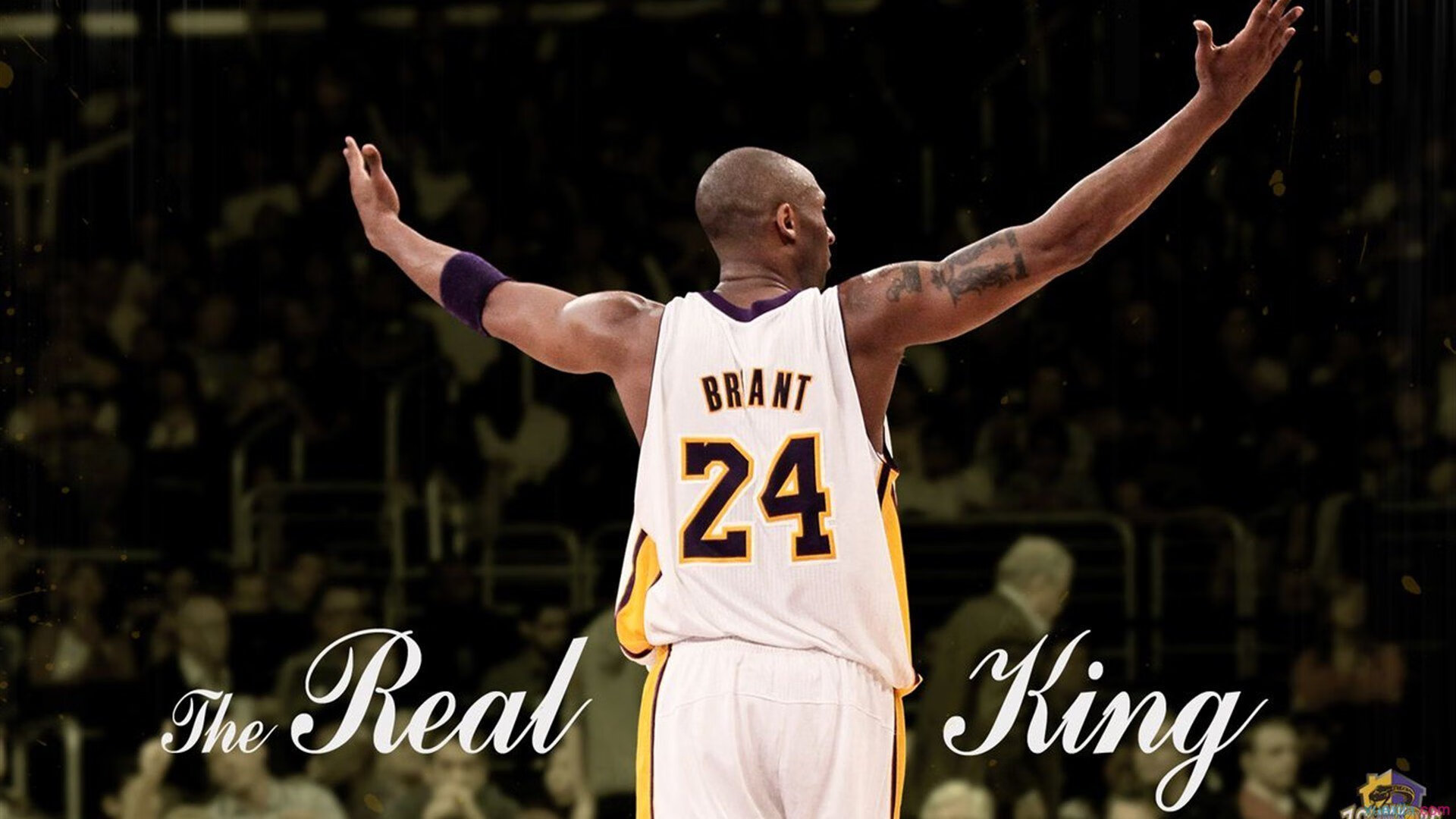 体育明星代言引发品牌热议，体育代言排名