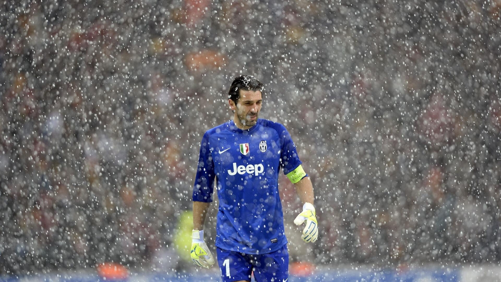 女子仰泳美澳争霸 美国占先,澳大利亚女子仰泳